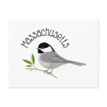 Massachusetts Chickadee