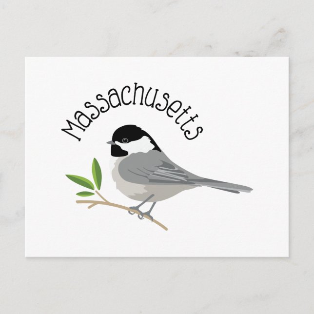 Massachusetts Chickadee Vykort (Framsida)