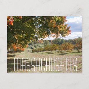 Massachusetts fall foliage träd löv postkort vykort