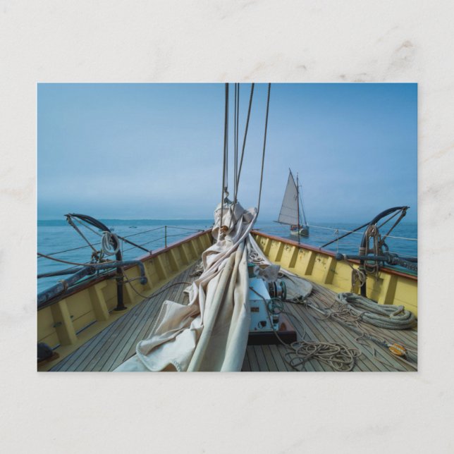 Massachusetts, Gloucester, Schooner Festival 3 Vykort (Framsida)
