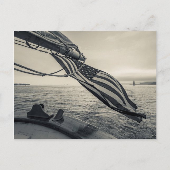 Massachusetts, Gloucester, Schooner Festival 5 Vykort (Framsida)