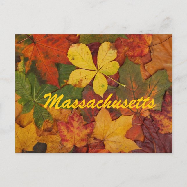 Massachusetts Höst löv Postcard Vykort (Framsida)