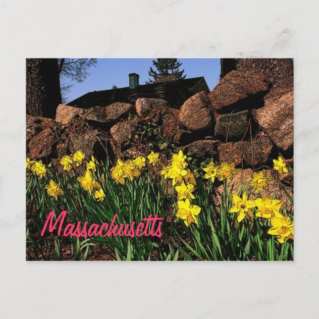 Massachusetts Postcard Vykort (Framsida)