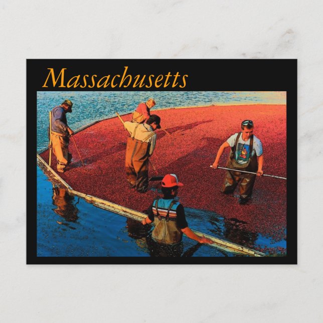 Massachusetts Postcard Vykort (Framsida)