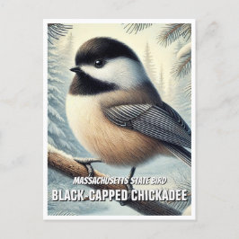 Massachusetts State Bird Black ccap Chickadee Vykort