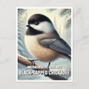 Massachusetts State Bird Black ccap Chickadee Vykort