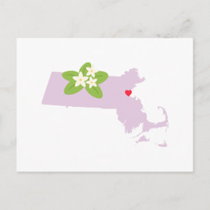 Massachusetts State Vykort