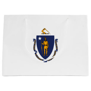 Massachusetts Statlig flagga Design