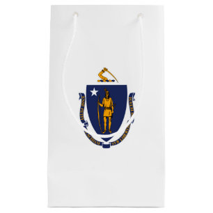 Massachusetts Statlig flagga Design