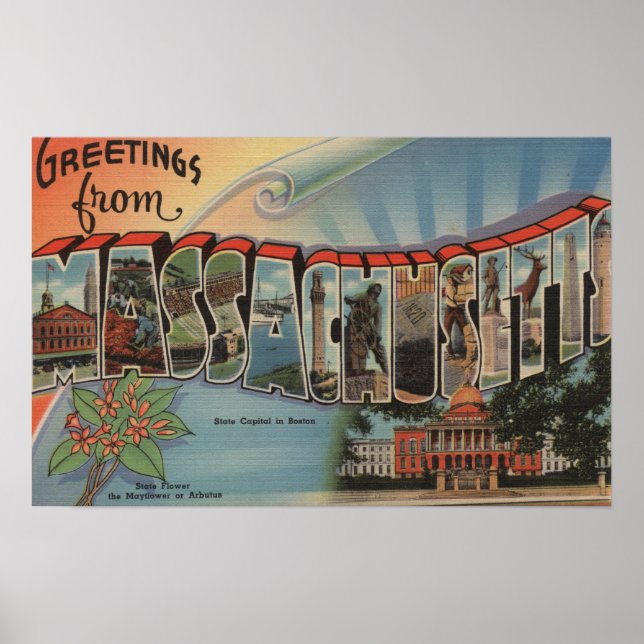 Massachusetts (statligt kapital/blomma) poster (Framsidan)