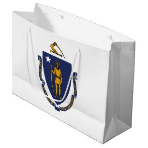 Massachusetts statsflagga