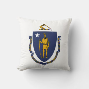 Massachusetts statsflagga kudde