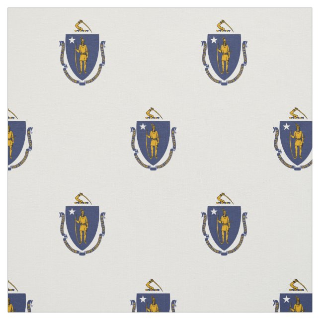 Massachusetts statsflagga tyg (Provkarta)