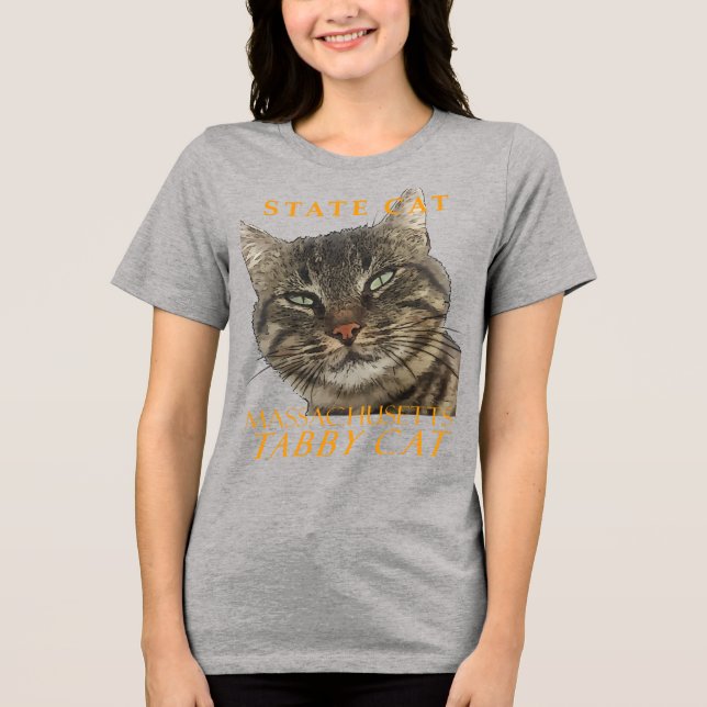 Massachusetts Territory Cat the Charming Tabby kat T Shirt (Framsida)