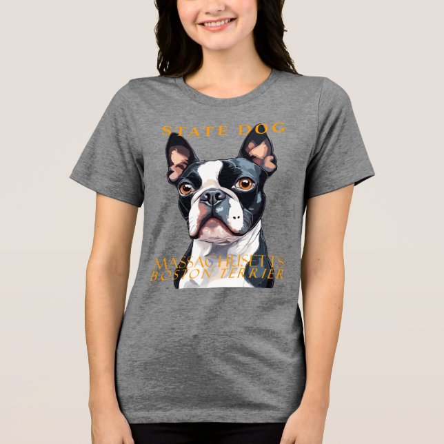 Massachusetts Territory Hund Boston Terrier Konst T Shirt (Framsida)