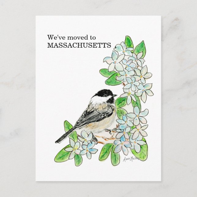 Massachusetts Vykort (Framsida)