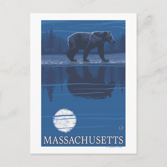 MassachusettsBear i Moonlight Vykort (Framsida)