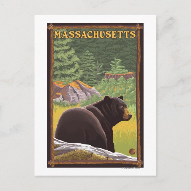 MassachusettsBlack Bear i Forest Vykort (Framsida)