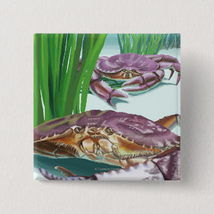 MassachusettsCrab och fiskare Knapp
