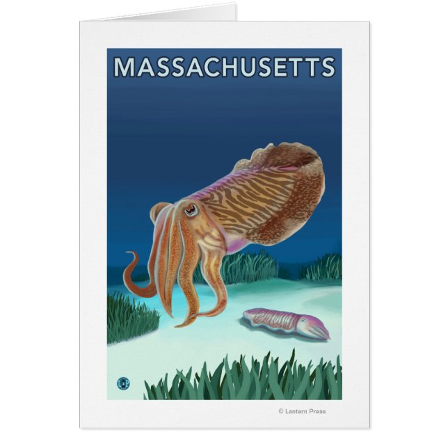 MassachusettsCuttlefish Scene Hälsningskort (Framsidan)