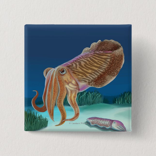 MassachusettsCuttlefish Scene Knapp (Framsida)