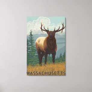 MassachusettsElk plats Canvastryck