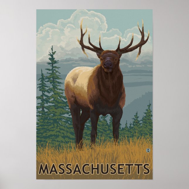 MassachusettsElk Scene Poster (Framsidan)