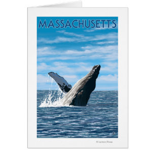 MassachusettsHumpback Whale Scene Hälsningskort