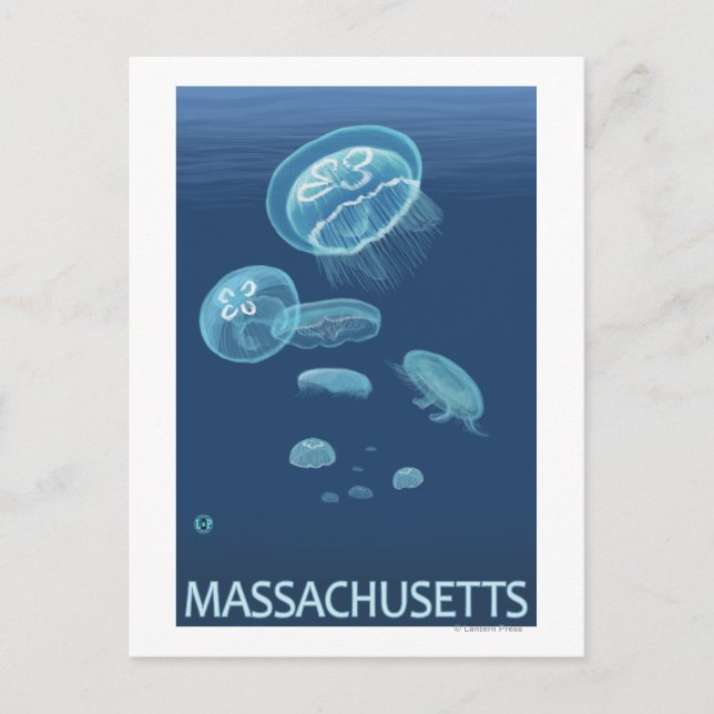 MassachusettsJellyfish Scene Vykort (Framsida)
