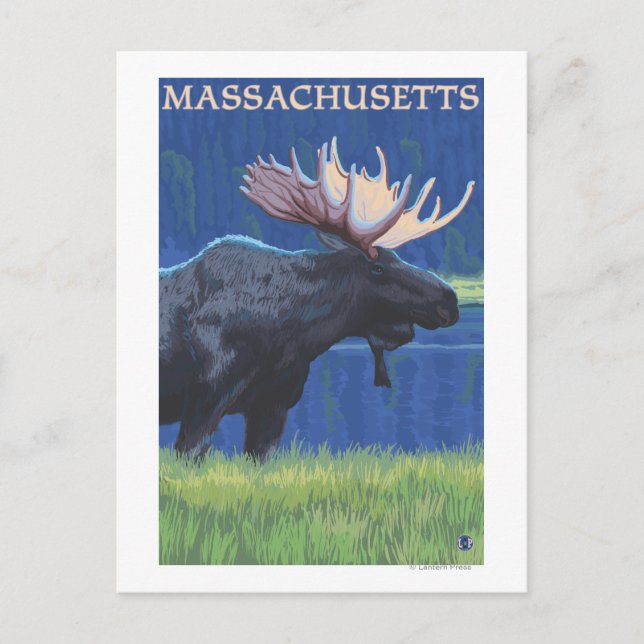 MassachusettsMoose i Moonlight Vykort (Framsida)