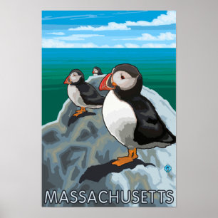 MassachusettsPuffins plats Poster