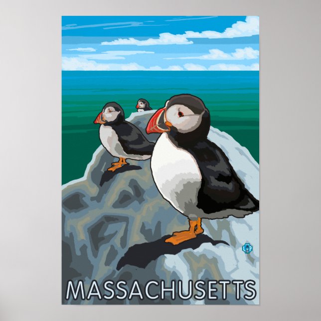 MassachusettsPuffins Scene Poster (Framsidan)