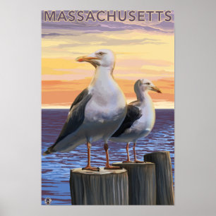 MassachusettsSea Gulls Scene Poster