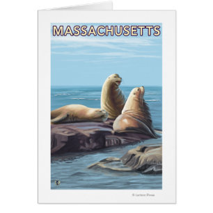 MassachusettsSea Lejon Scene Hälsningskort