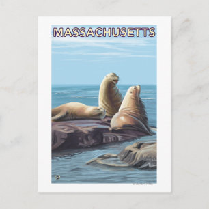 MassachusettsSea Lejon Scene Vykort