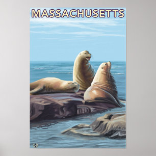 MassachusettsSea lejonplats Poster