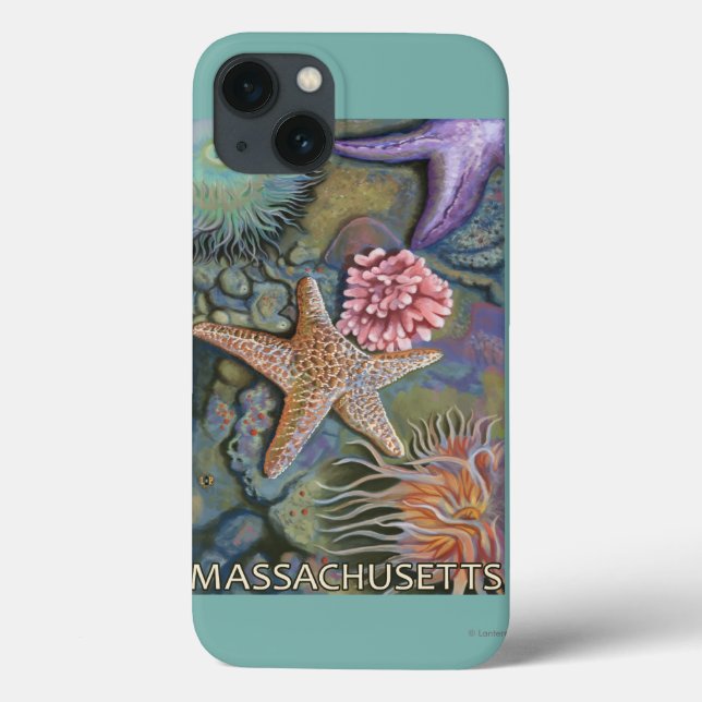 MassachusettsTidepool plats (Baksida)