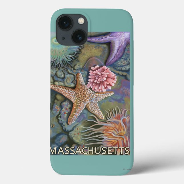 MassachusettsTidepool plats (Baksida)