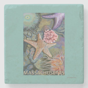 MassachusettsTidepool plats Underlägg Sten