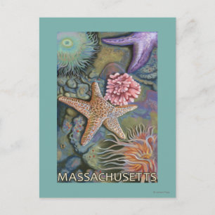 MassachusettsTidepool plats Vykort