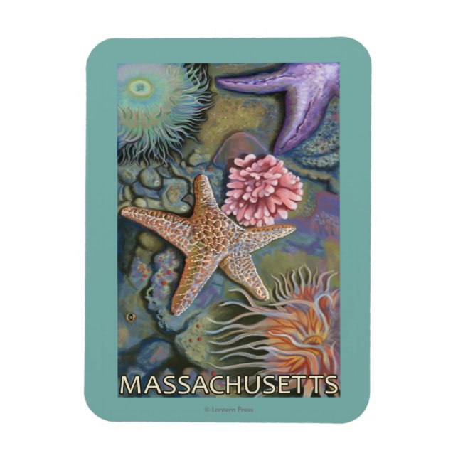 MassachusettsTidepool Scene Magnet (Vertikal)