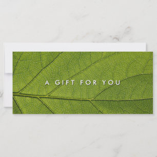 Massage Spa Hälsa Nature Gift Certificate