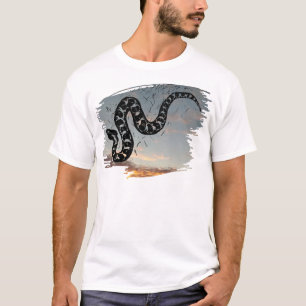 Massasauga Rattle Snake Medicine on Sunset T Shirt