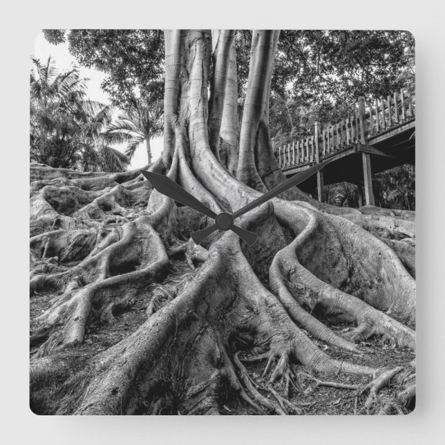 Massiva gummirötter i träd fyrkantig klocka (Framsida)