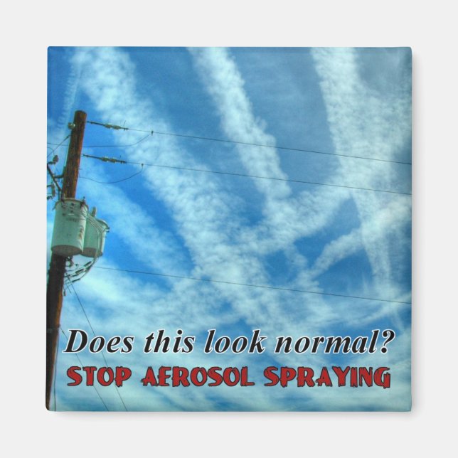 Massive Chemtrail Grid Magnet (Framsidan)