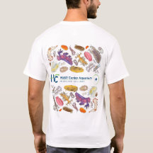 MaST Center Aquarium Nudibranchs (vit)