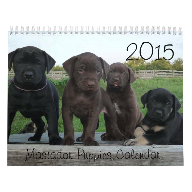 Mastador valpkalender 2015 kalender (Omslag)