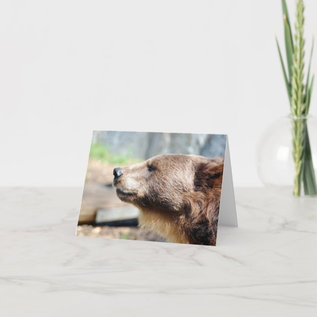 Mästare Bruin Kort (Framsida)