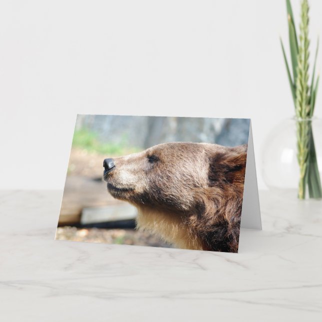 Mästare Bruin Kort (Framsida)