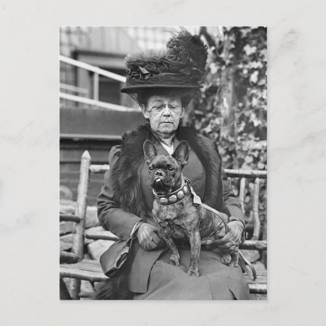 Mästare Fransk Bulldog, 1920-talet Vykort (Framsida)